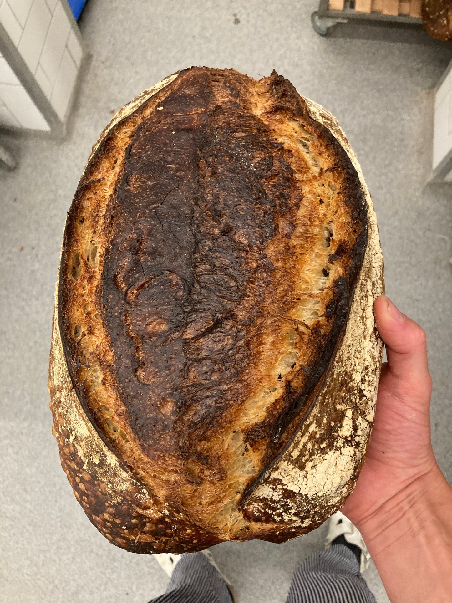 Workshop Sourdough +/-3 hours ENG